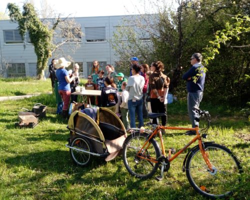 atelier semons des graines