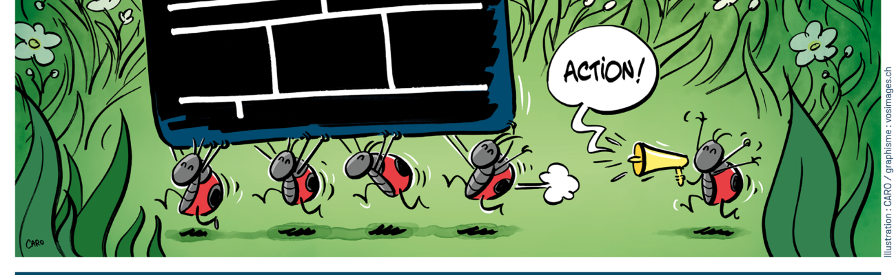 Festival du film vert 2026