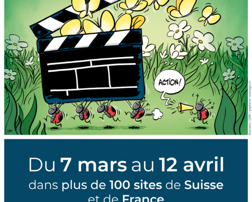 Festival du film vert 2026