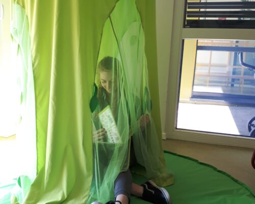 Festival des tout-petits